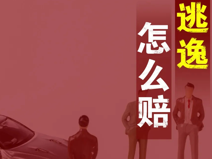 说“典”：肇事逃逸，怎么赔？