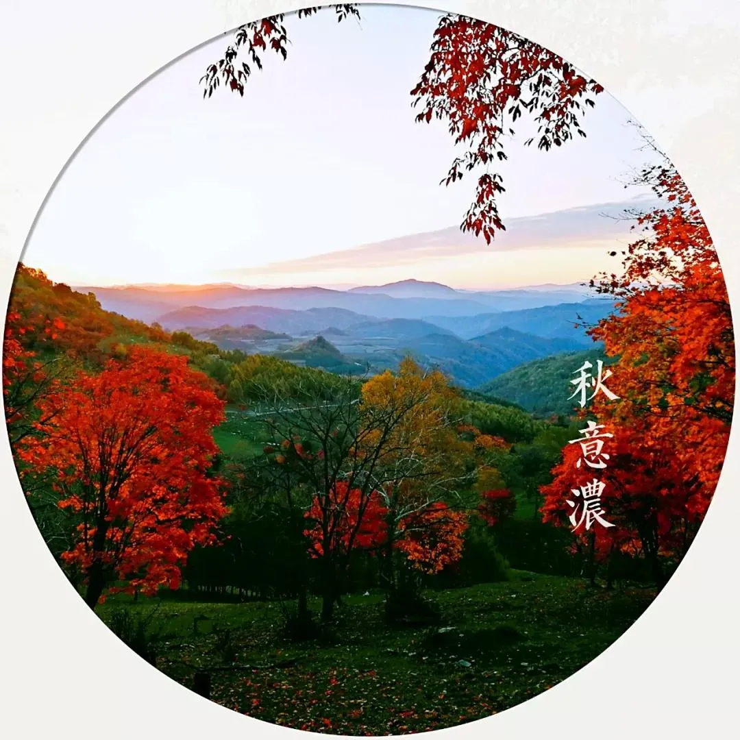 秋天的童话之溪谷风景区