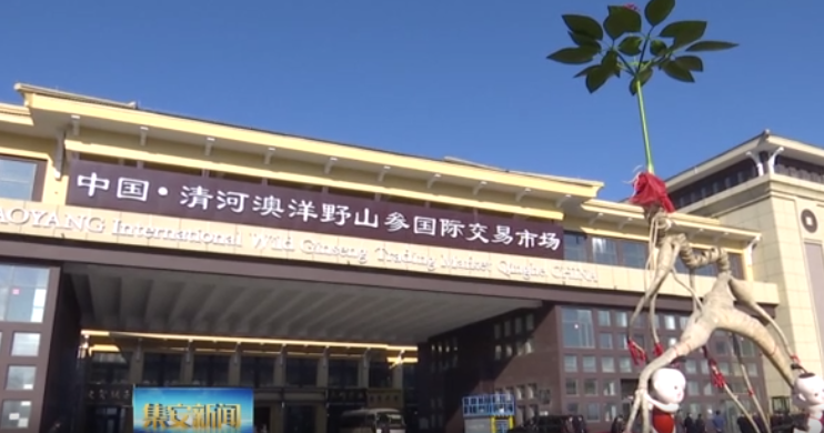 集安：市人大常委会、市政协视察清河（澳洋）野山参国际交易中心项目运营情况