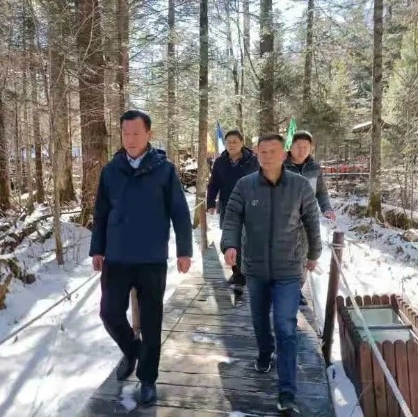 李志宏再督导全区森林防灭火工作
