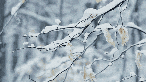 白城人注意！雪҈雪҈​雪҈雪҈雪҈要来了！雪后还要大降温！
