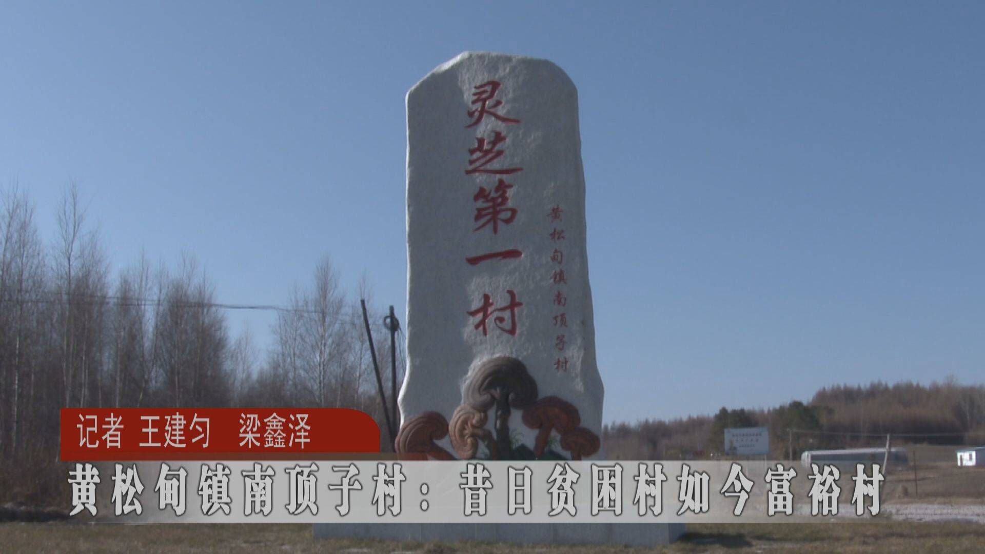蛟河市黄松甸镇南顶子村：昔日贫困村如今富裕村