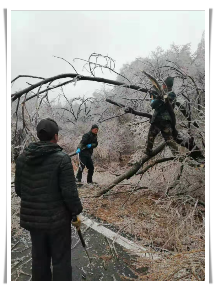 batch_微信图片_20201120094017.png