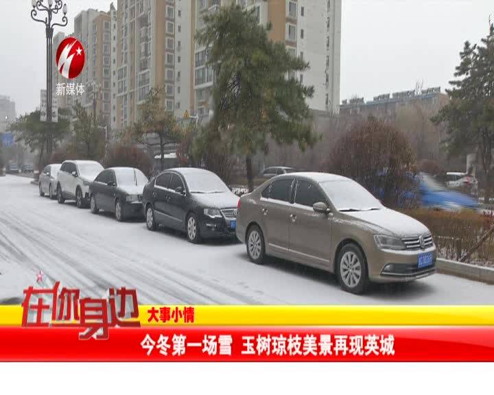 今冬第一场雪 玉树琼枝美景再现英城