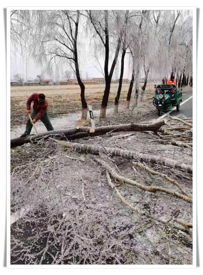 batch_微信图片_20201120094051.png