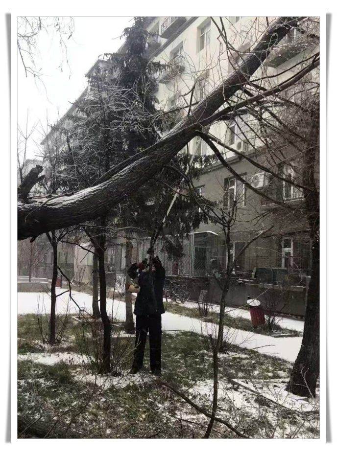 batch_微信图片_20201120094040.png