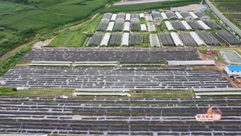 蛟河市白石山镇新发村党建带扶贫助力脱贫致富