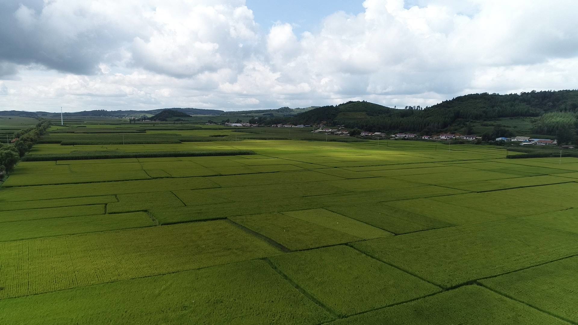 经济建设