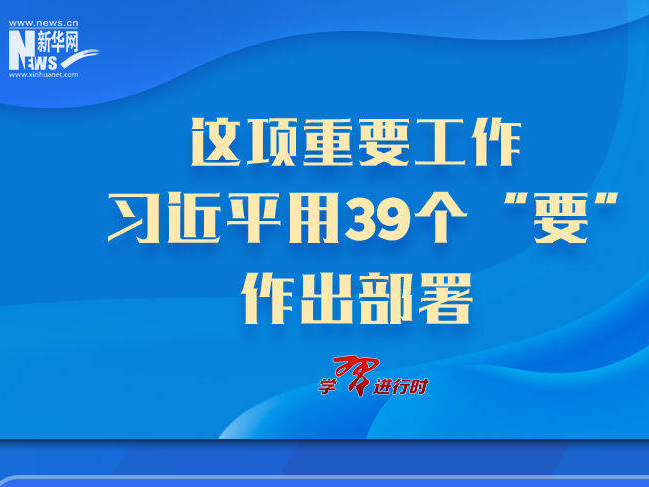 这项重要工作，习近平用39个“要”作出部署（新华社）