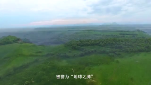 应急科普丨关爱森林草原 不在野外用火