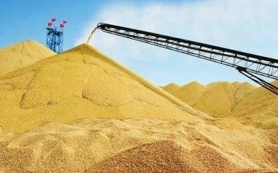 吉林粮食产量连续八年超700亿斤