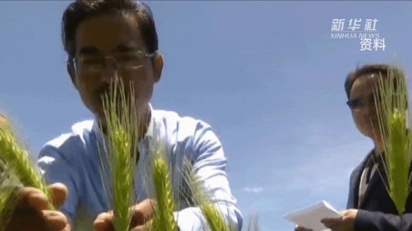 这是咱14亿中国人拼来的! 这是咱14亿中国人拼来的!