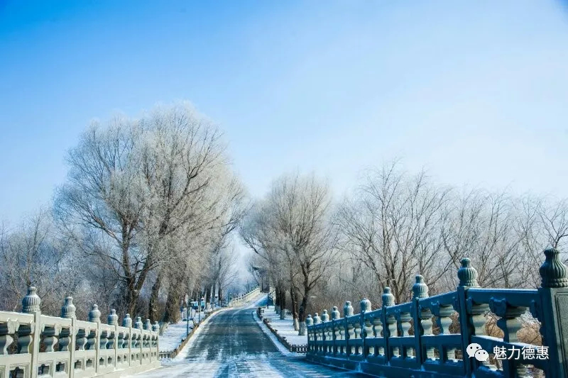 街拍：北湖●早春雪韵