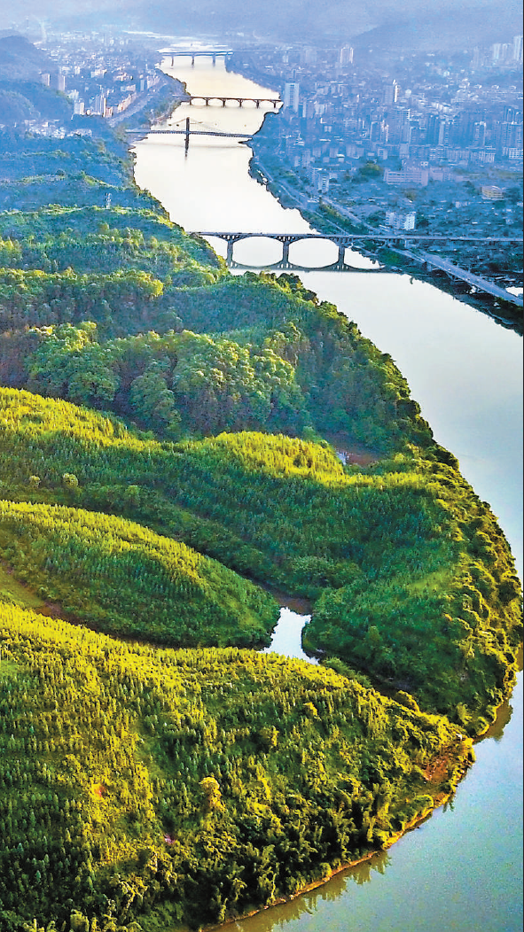 三明市沙县，山水相依，林城相融。近年来，沙县通过规划建设绿色空间，打造人与自然和谐共生的美丽城市。陈霖摄（影像中国）