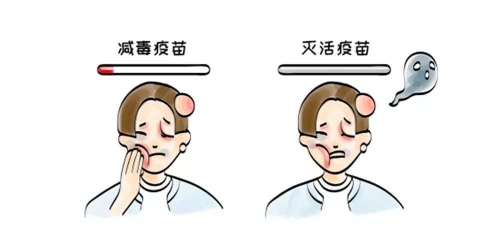 疫苗为什么行？这篇文章告诉你