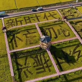 【视频】美丽中国·鲜到延边！海兰江畔稻花香！