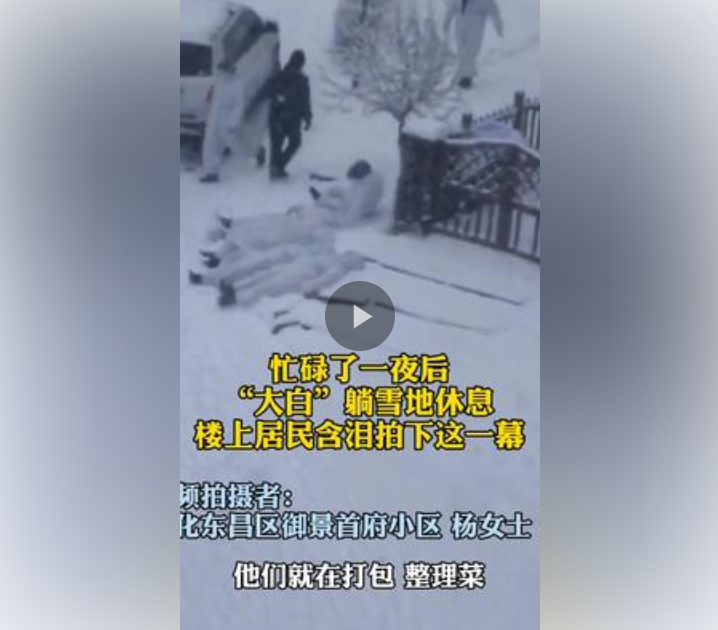 1月26日早5点，通化东昌区隔离小区居民拍下这段视频。连夜打包送菜后，“大白”累得精疲力尽躺倒雪地休息……