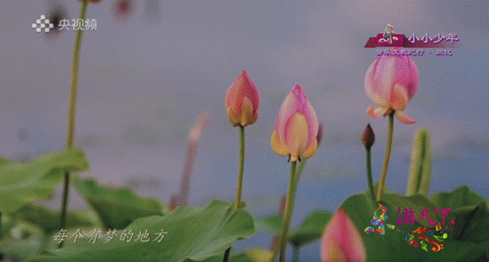 image011.gif