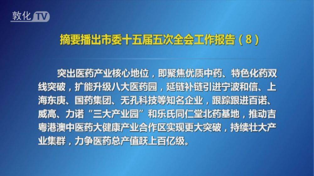 摘要播出市委十五届五次全会工作报告（8）