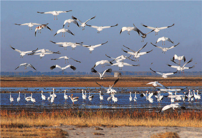 世界湿地日丨吉林省已建立湿地保护区27个，湿地公园32个