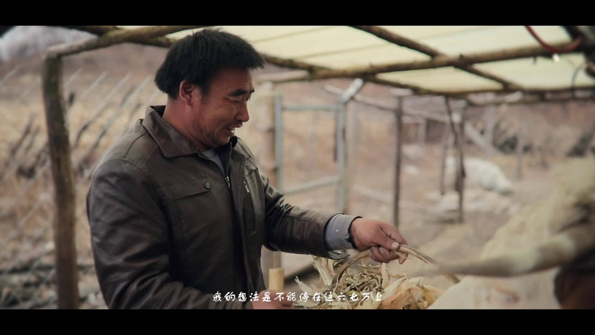 幸福是奋斗出来的——于洪波