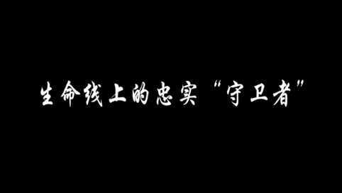 通化县：生命线上的忠实“守卫者”