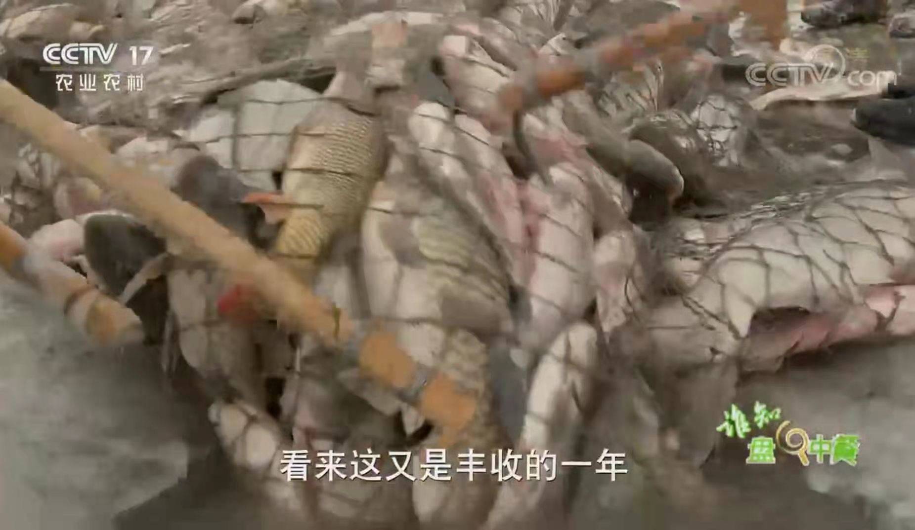 《谁知盘中餐》年货年味·冰天雪地的一口鲜 （下）