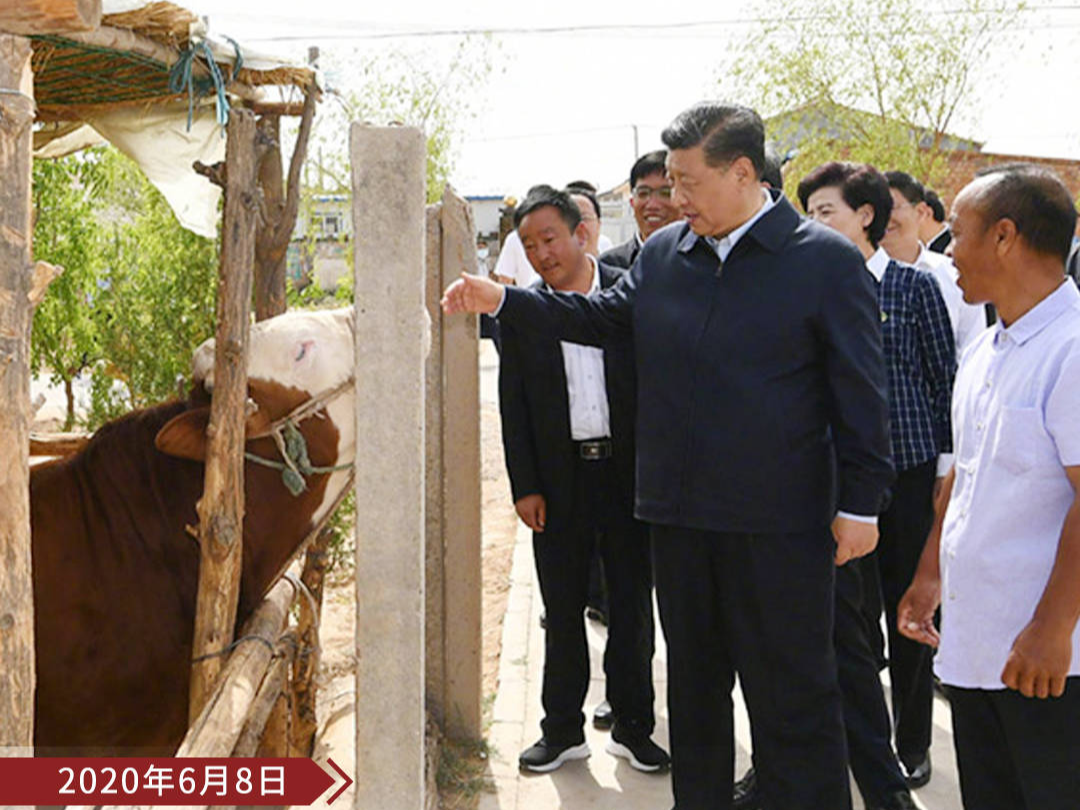 庄严承诺丨从“绣花功夫”读懂精准扶贫