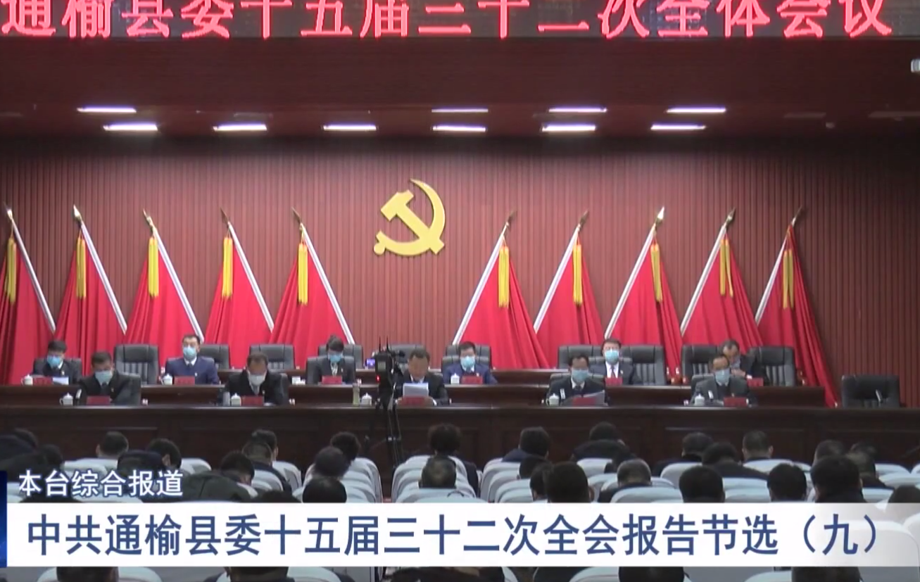 中共通榆县委十五届三十二次全会报告节选（九）