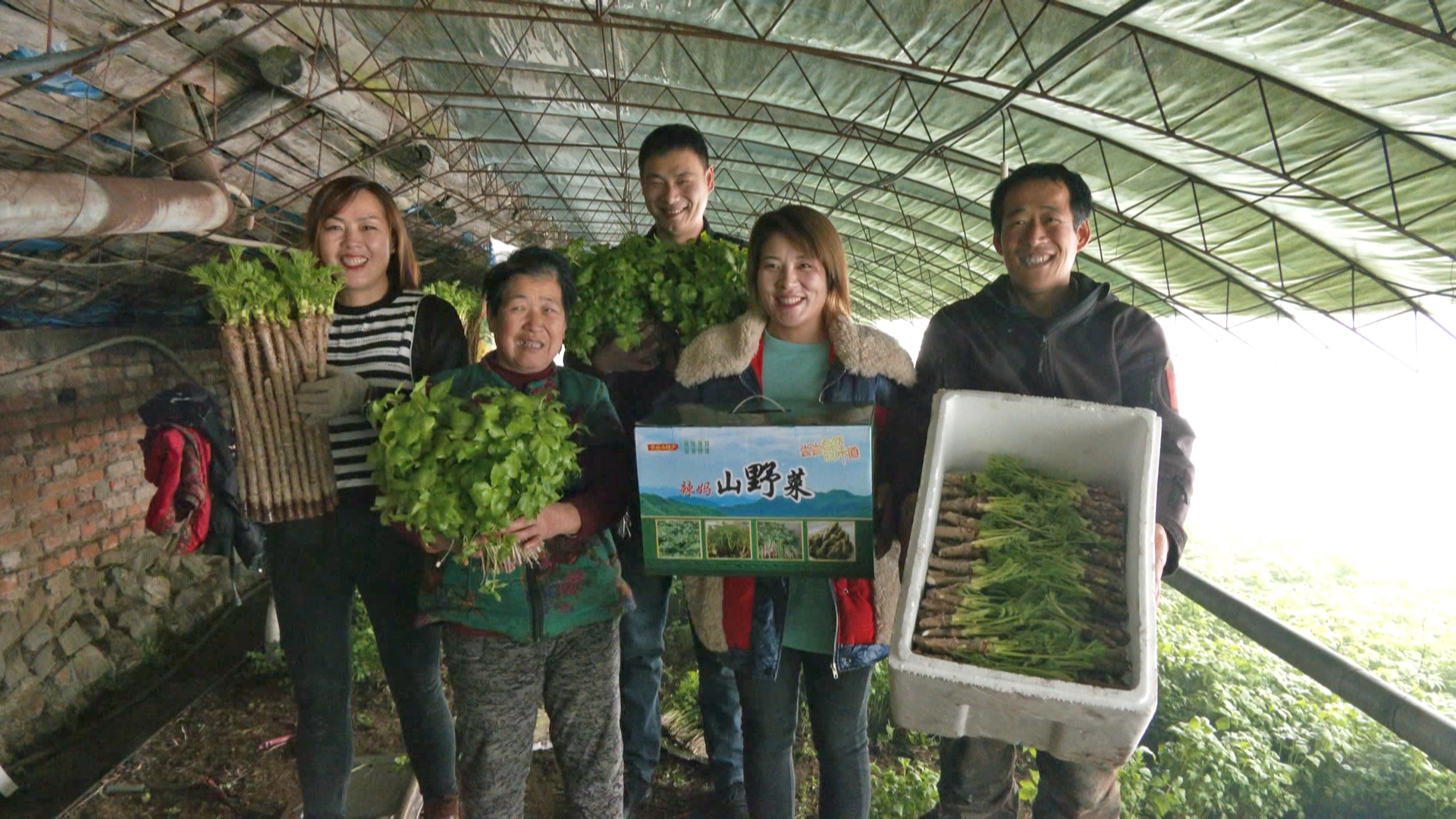 临江 | 绿色山野菜 铺就致富路