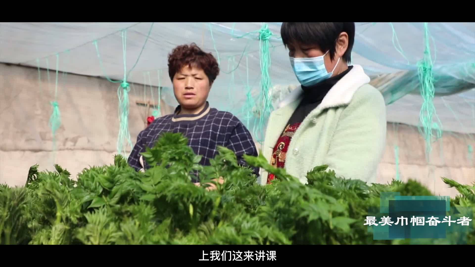 最美巾帼奋斗者~范丽