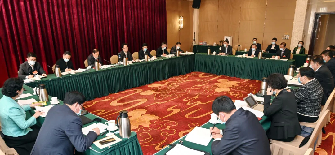 吉林代表团分组审议政府工作报告 审查“十四五”规划和2035年远景目标纲要草案
