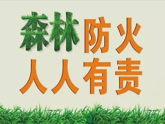 森林防火倡议书