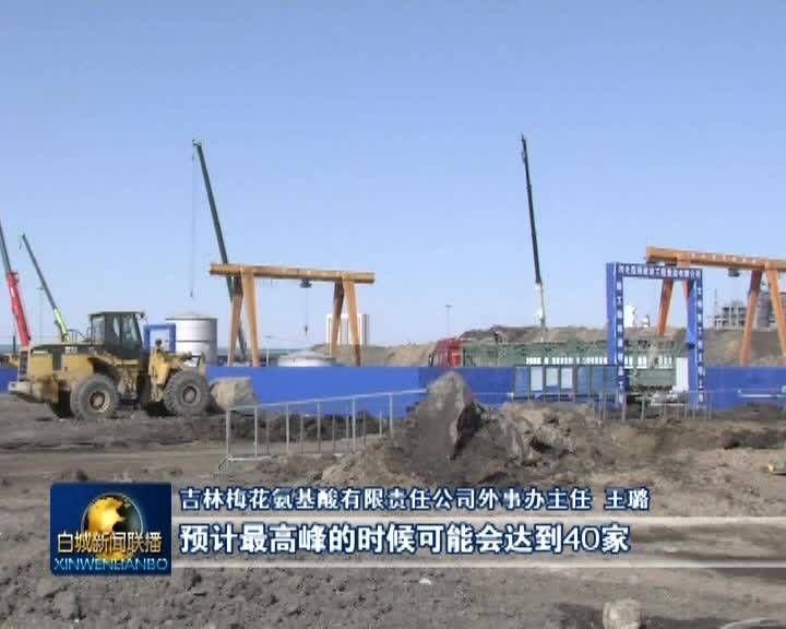 新闻链接：吉林梅花三期30万吨赖氨酸及配套工程项目正式开工建设