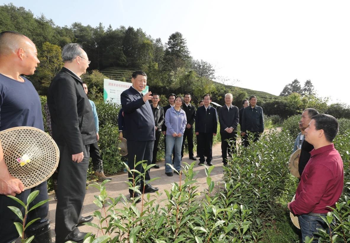 潮头观澜丨这项制度，总书记要求继续坚持