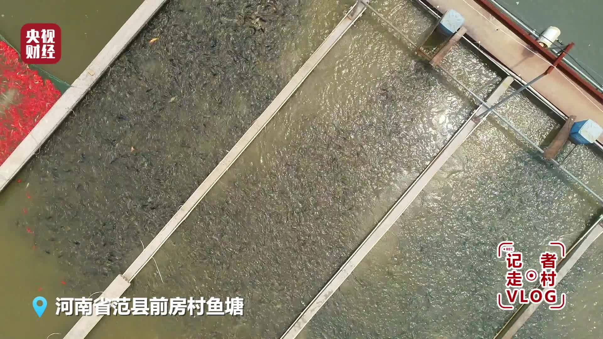 【脱贫攻坚短视频】记者走村vlog