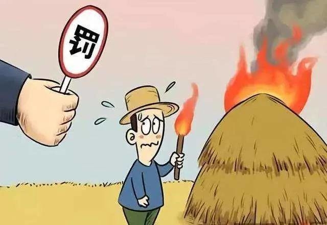 焚烧秸秆 害人害己！