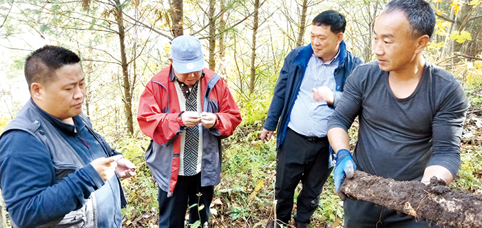 李玉写在延边大地上的“脱贫论文”