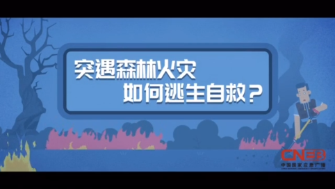 急急急！遇到森林火灾怎么办？ 这样自救能保命