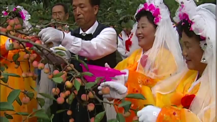 百年奋斗路农业
