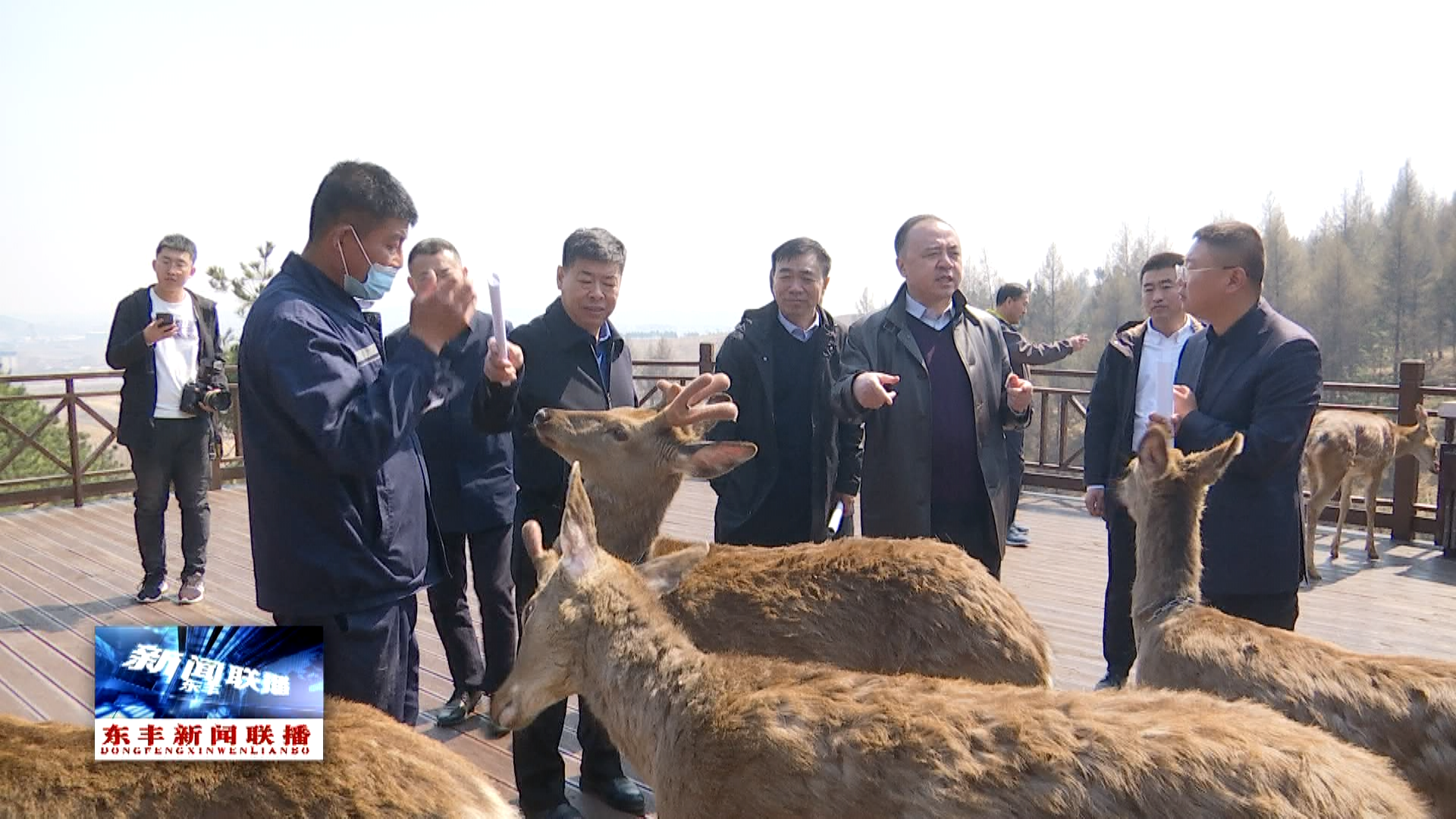 县人大常委会调研组调研我县梅花鹿产业发展情况