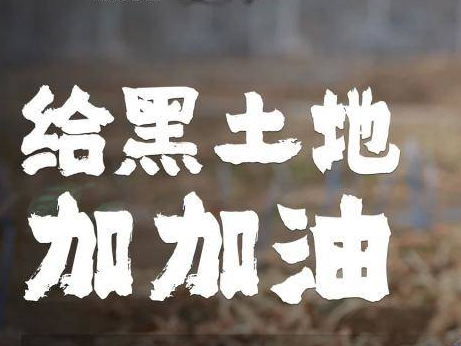 给黑土地“加油”
——且看长春市“藏粮于技”