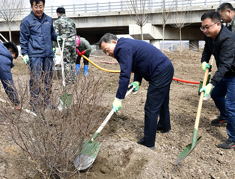 发扬爱树植树护树好传统 共建人与自然和谐共生的美丽延边