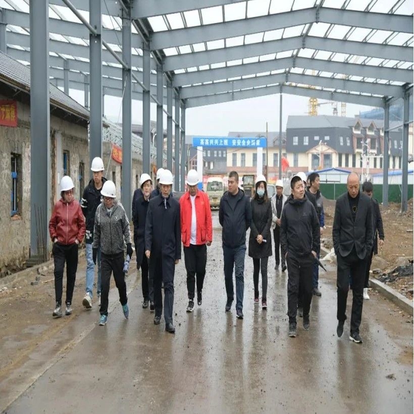 【奋斗百年路 启航新征程】池南区领导督导重点项目开工情况
