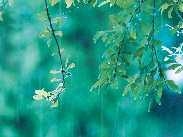 这是春季最后一个节气……