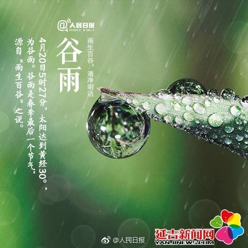 今日谷雨，留住最后一抹春光