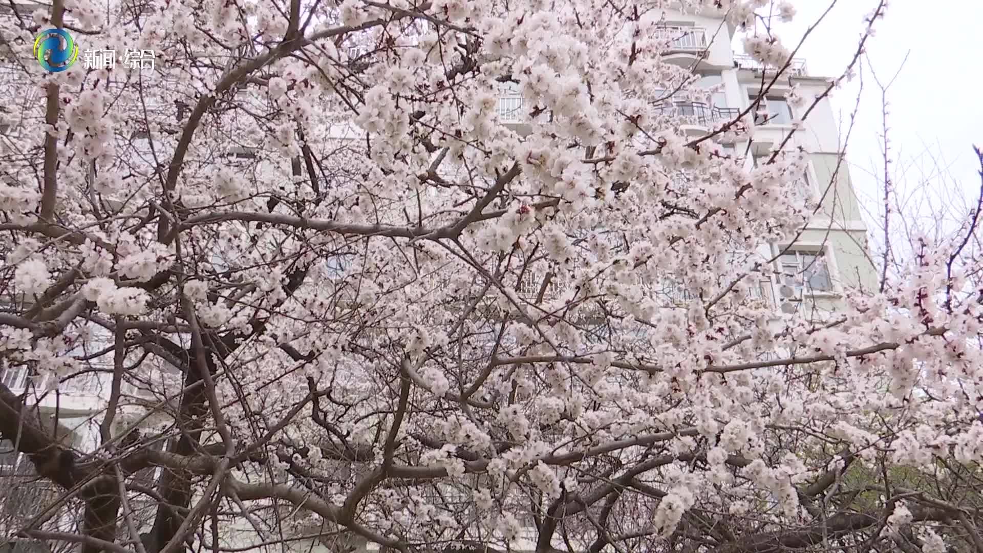 今日谷雨