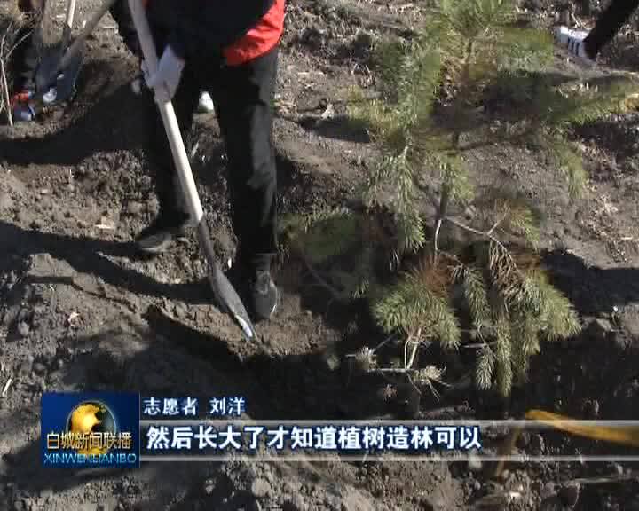新闻特写：春风催新绿 植树正当时