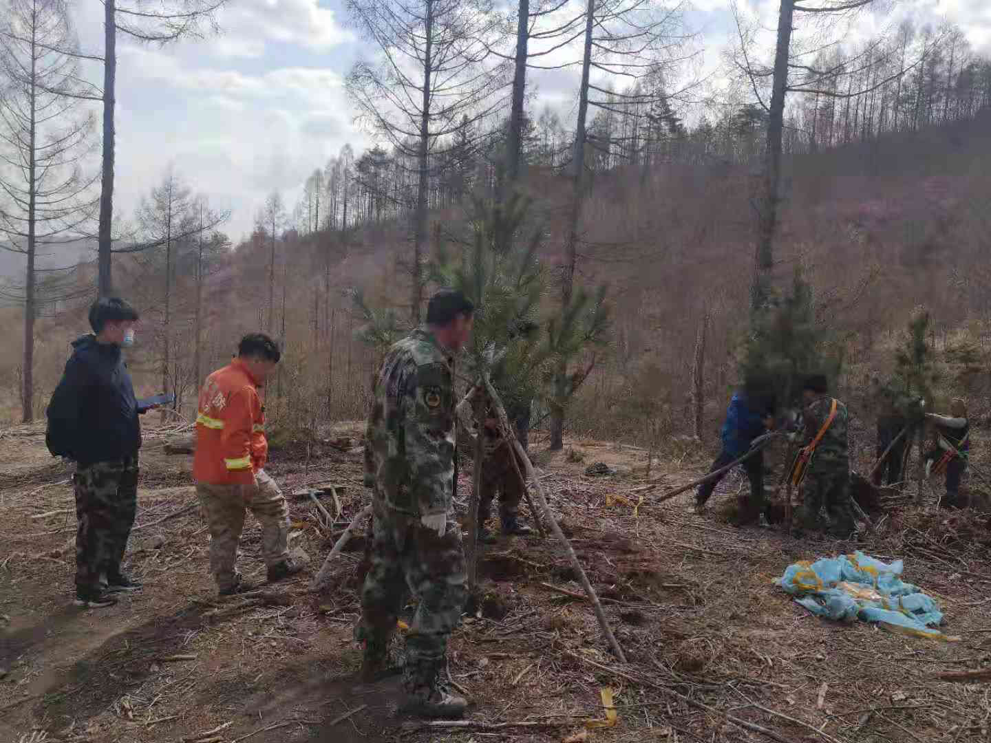 龙井市林业局坚持植树造林和森林防火两手抓两不误