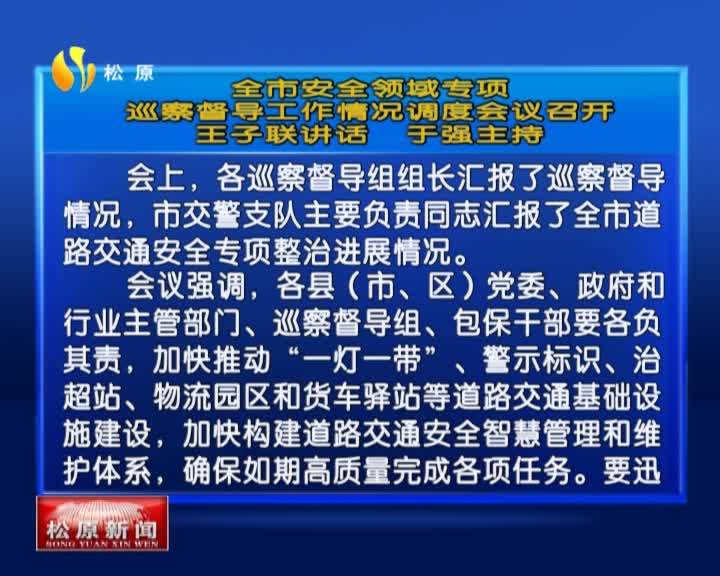 全市安全领域专项  巡察督导工作情况调度会议召开  王子联讲话  于强主持